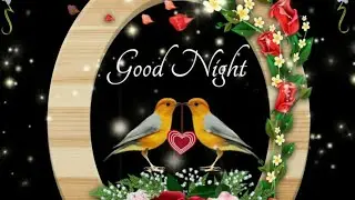 GOOD NIGHT video