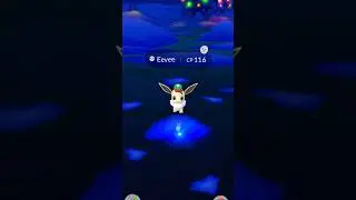 Holiday shinies in Pok&eacute;mon GO! #pokemongo #pokemonshinyhunting #shinyhunting #pokemon #pokemonevent