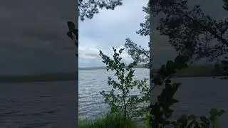#лес #озеро #деревья #природа #релакс #nature #calm