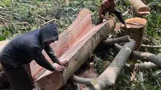 good skill the woodworking man cut easily