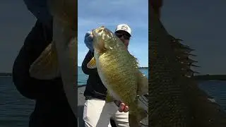 😳 MONSTER SMALLMOUTH ON ULTRALIGHT! 😳