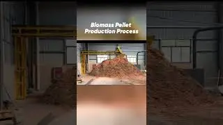 Biomass Pellet Production Process#woodpelletmachine #pellets #renewableenergy #woodwork