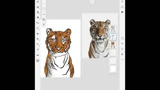 Stylized Animal Portrait with Adobe Fresco
