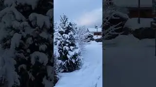 UN BIEN BEL HIVER DANS LES ALPES !