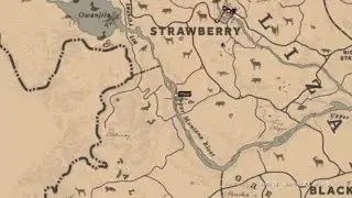 Perfect Beaver location