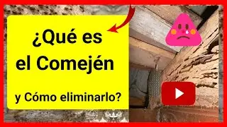 🔴 &iquest;Qu&eacute; es el COMEJ&Eacute;N y como Eliminarlo? 👇  5 maneras de evitar las TERMITAS de CASA 👍