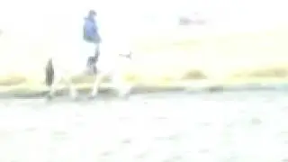 MOV00634