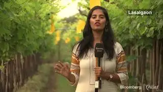 Why Loan Waiver Won&rsquo;t Help Farmers