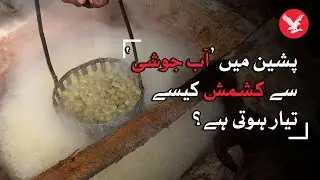 How are raisins prepared in Pishin?