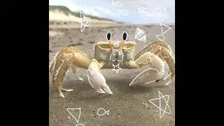 biologia marina :))
