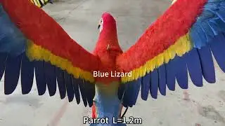 Animatronic animal parrot