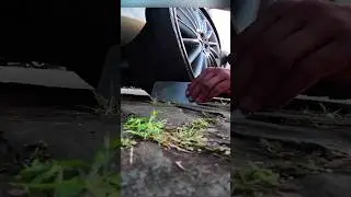 Renato Garcia vulgo Zeca urubu.
