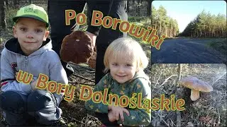 Po Borowiki w Bory Dolnośląskie