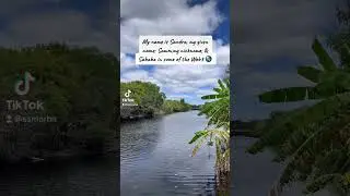 Introduction #web3 #nftcommunity #2023 #geneva #florida