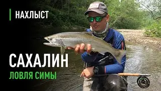 Cherry Salmon fly fishing on Sakhalin Island.