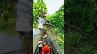 How to find eel / របៀបរកអន្ទង់