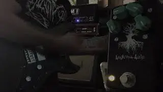 Anarchy Audio Deadwoods PEDAL DEMO