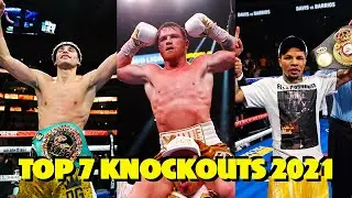 Top 7 Most SAVAGE Knockouts in Boxing 2021