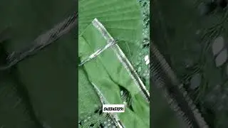 Light green color mirror poshak #shortsviral #ladoogopalposhak #viral