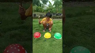 Mengenal warna dengan balon #shorts #balloon #balonmeletus #balonwarnawarni #balonair