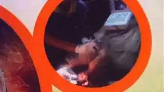 fake-sex-for-panda-chiangmai-tour-with-local-chiangmai-tour-guide-.flv