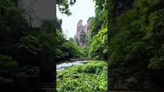 🧘&zwj;♀️ Calm Your Mind with Nature's Peace 🌿&bull; #RelaxingEchoes 🏞️