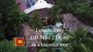 I Crashed my Drone in a Coconut Tree | DJI Mini 2 | Sri Lanka 🇱🇰