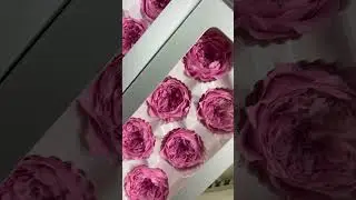 4-5cm & 5-6cm #Roses head in box preserved rose bud luxury dried florals for gift decor #sayefloral