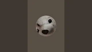 Casimerito est&aacute; en vivo