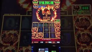 Phoenix Link🔥$50 Bets My Biggest Ever Bonus! Hold & Spin. Shirley good luck charm!🍀in the house!