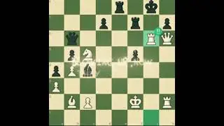 Brilliant Sacrifice | #chess #chessgame #brilliant #brilliantmove #BasheerGambit