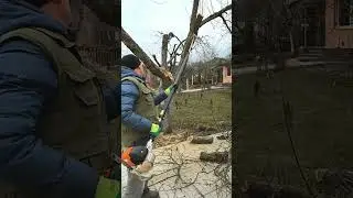 🇺🇦#озеленение #ландшафтныйдизайн#рулонныйгазон#shot#shots #озеленення #харьков