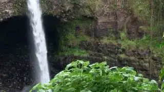 Best of Hilo | Shore Excursion | NCL