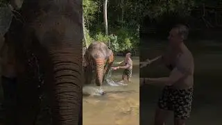 Купание слонов в Mae Sa Pok Beach and Campingริมธารล้อมดาวแคมป์ปิ้ง (Mae Sa Pok Beach and Camping)
