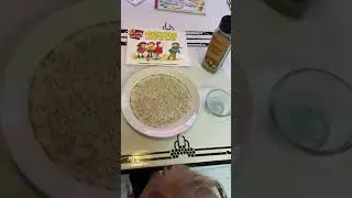 Easy Germ Science Experiment For Kids  - Water, Pepper & Soap