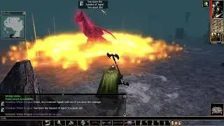 Neverwinter Nights: Enhanced Edition - Half-Orc Barbarian in The Wailing Death - Episode 11 Part 6