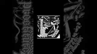 The Secret Prostitutes - Galaxie