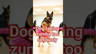 Dog dance trending video 🐶🔥 #zumba #funny #comedy  #germanshepherd