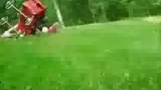 Sijah und Borg goes N&ouml;ff N&ouml;ff