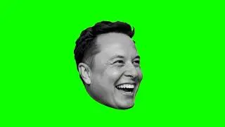 Elon Musk   Video for editing using chroma key and green screen  Visual effects