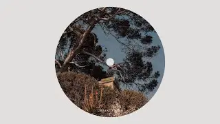 Stevie Krash - Bluebird | LESIXTYNINE MUSIQUE | LSN018
