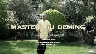 Master Liu Deming: Ziran Qigong Barcelona Free Movement sequence
