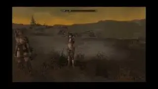 Skyrim SE with mod #552 Skaal Village