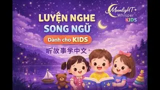 C&ugrave;ng b&eacute; học song ngữ Trung &ndash; Anh | Động vật | MoonligHT Whisper 🌙