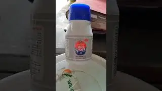 BIO SPARK SL