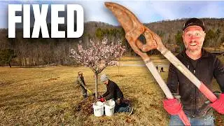 We Tried to Fix Every Fruit Tree on Our Farm in 24 Hours
