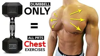 How To Build Your Chest Workout With Dumbbells (8 Best Exercises)