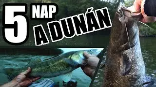 5 nap perget&eacute;s a Dun&aacute;n - Dimakfishing 26.r&eacute;sz