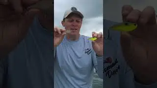 Clever tech gives this lipless crankbait Maximum Vibration ?! | Swimtrex Max
