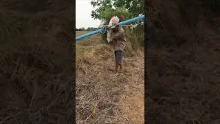Easy Snake Trap Using Long PVC Pipes #shorts